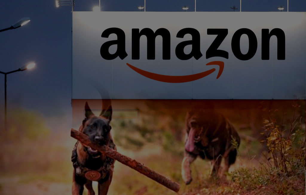 Amazon to Deal with Watchdog to Renovate Market Terms