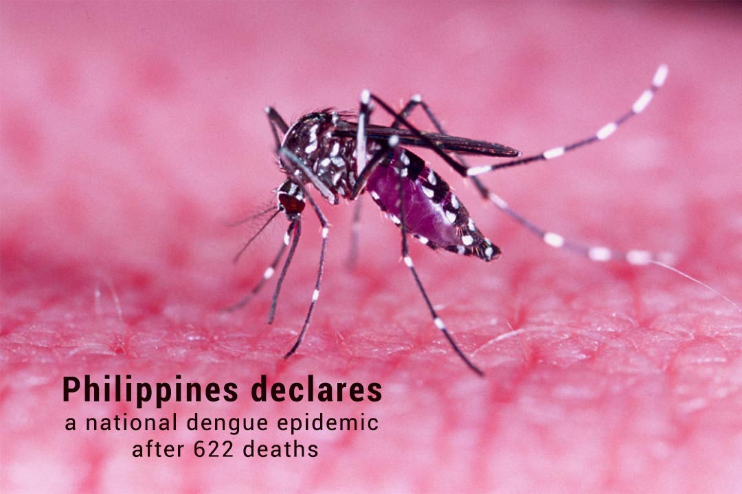A National Dengue epidemic Declared in the Philippines after 622 Deaths
