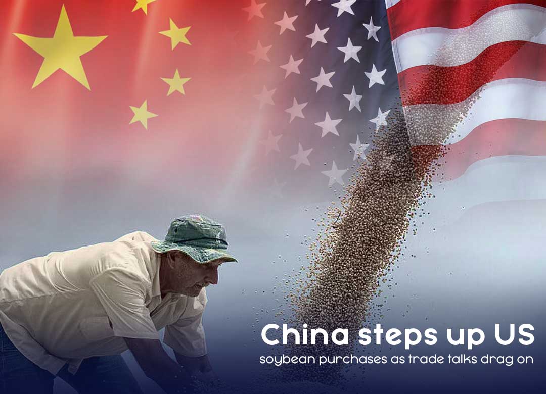 China settled to purchase more US Soybean to reach on trade agreement