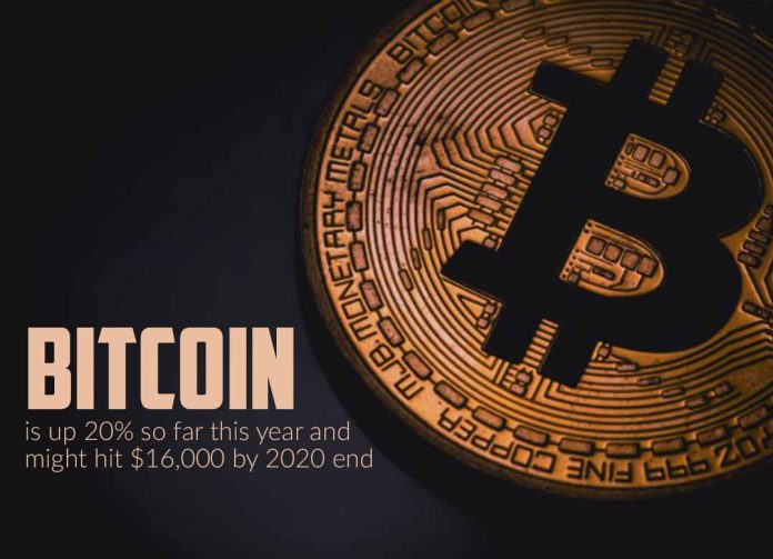 Bitcoin is surge 20% so far this year and might touch $16,000 by 2020 end