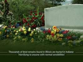 Over 2000 Fetal remains found in Illinois, buried in Indiana