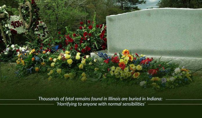 Over 2000 Fetal remains found in Illinois, buried in Indiana
