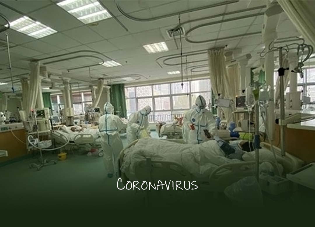 Coronavirus death toll rises to 259, total cases rise to 11,791