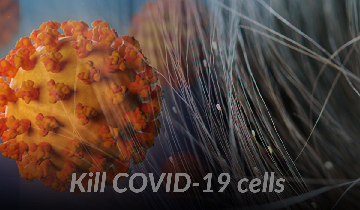Australian scientists discover a drug “Ivermectin” to kill COVID-19 cells