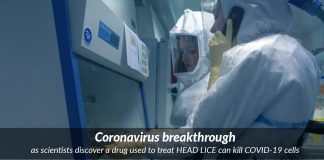 Anti lice drug Ivermectin can kill novel Coronavirus cells within 48 hours