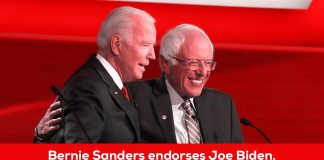 Bernie Sanders endorses Joe Biden for Democratic nomination