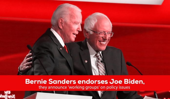 Bernie Sanders endorses Joe Biden for Democratic nomination