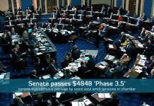 Senate passes $450B Package by voice vote to back small businesses