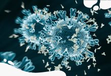 Coronavirus antibodies may fade in two months