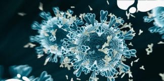 Novel Coronavirus antibodies may fade in two months