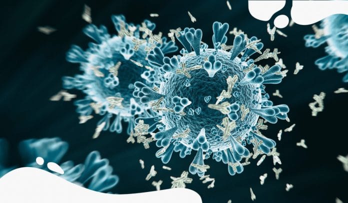 Novel Coronavirus antibodies may fade in two months