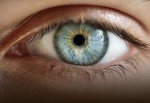 Interesting facts About Macular Degeneration