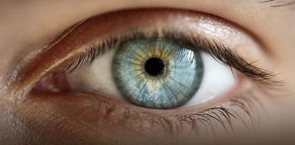 Important facts to Know About Macular Degeneration