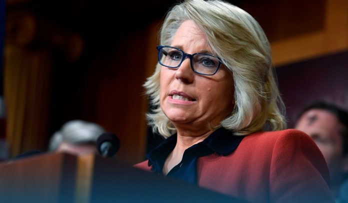 Middle-Class will Ultimately pay for Infrastructure Plan - Liz Cheney warns