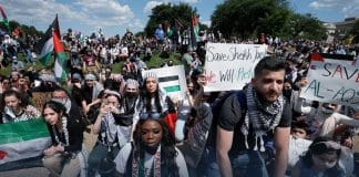 People across America joined pro-Palestinian Demonstrations over the weekend