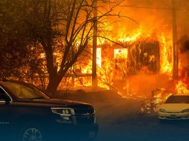 Wildfire Leveled Historic Californian Downtown; US Rep. Says ‘Lost Greenville’