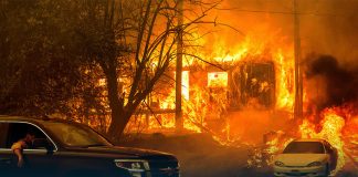 Wildfire Leveled Historic Californian Downtown; US Rep. Says ‘Lost Greenville’