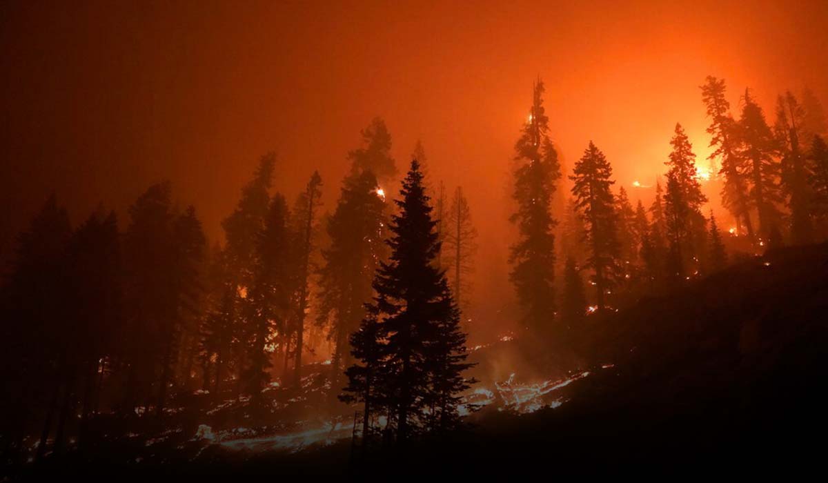 Gusty Winds Pushed California Wildfire To Approach Lake Tahoe