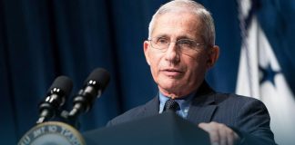 Dr. Fauci Says Immigrants Aren’t to Blame for the COVID-19 Transmission in the US
