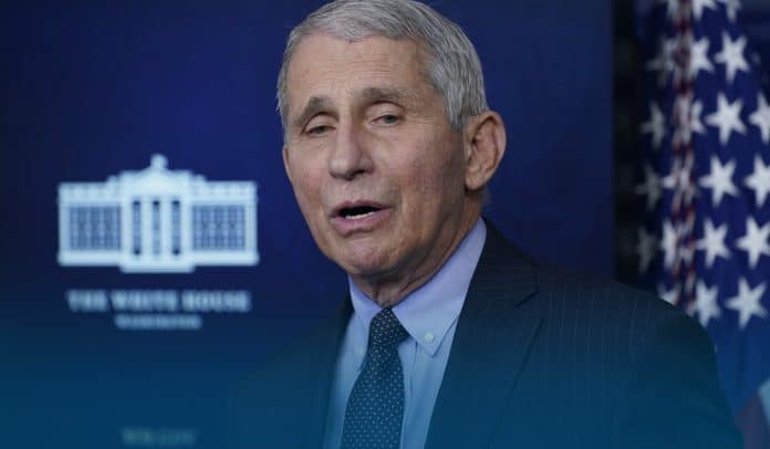 Infectious Disease Expert Fauci Plans to Retire by the End of Joe Biden’s First Term