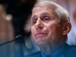 Dr. Fauci, US Infectious Disease Expert, to Leave Government Positions in December