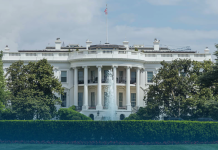White House Moves Saloni Sharma to Senior Communications Role for Chief of Staff